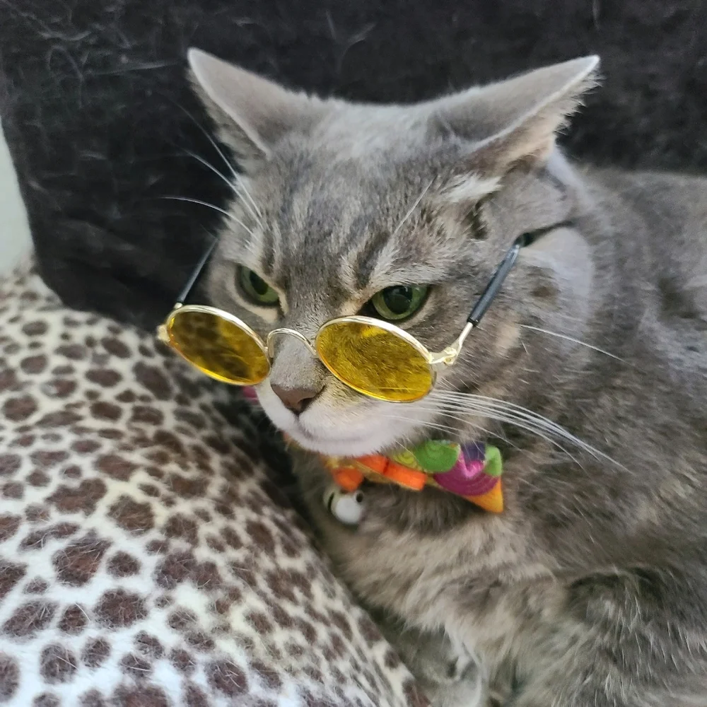Small size cat/ small dog custom eye glasses and Qing dynasty Chinese outfit